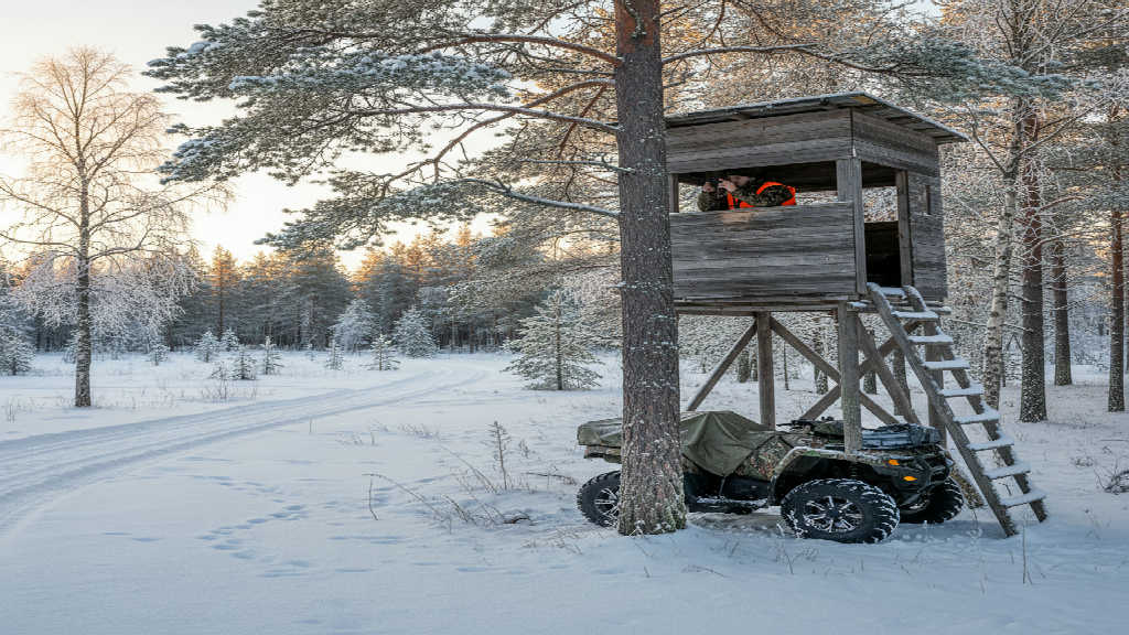 Säkerhet vid jakt från fordon och torn