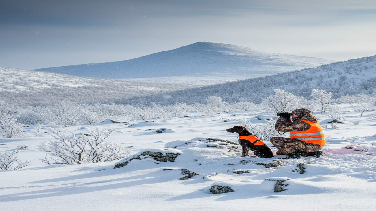 Jakt i fjäll och specialmiljöer