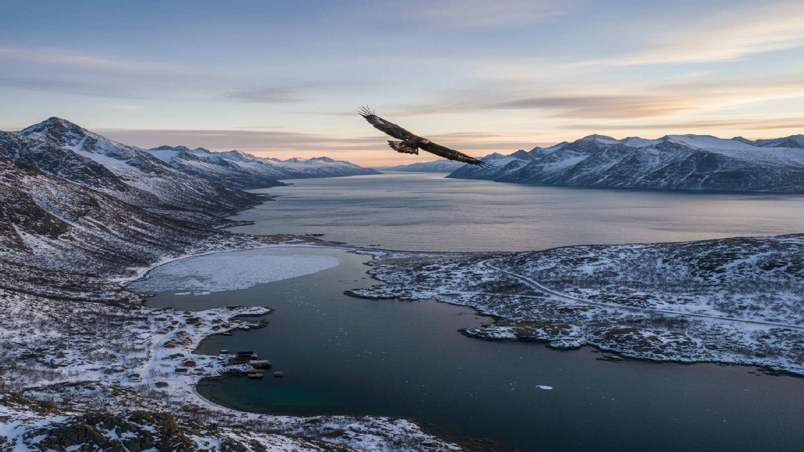 Jakt i fjäll och specialmiljöer