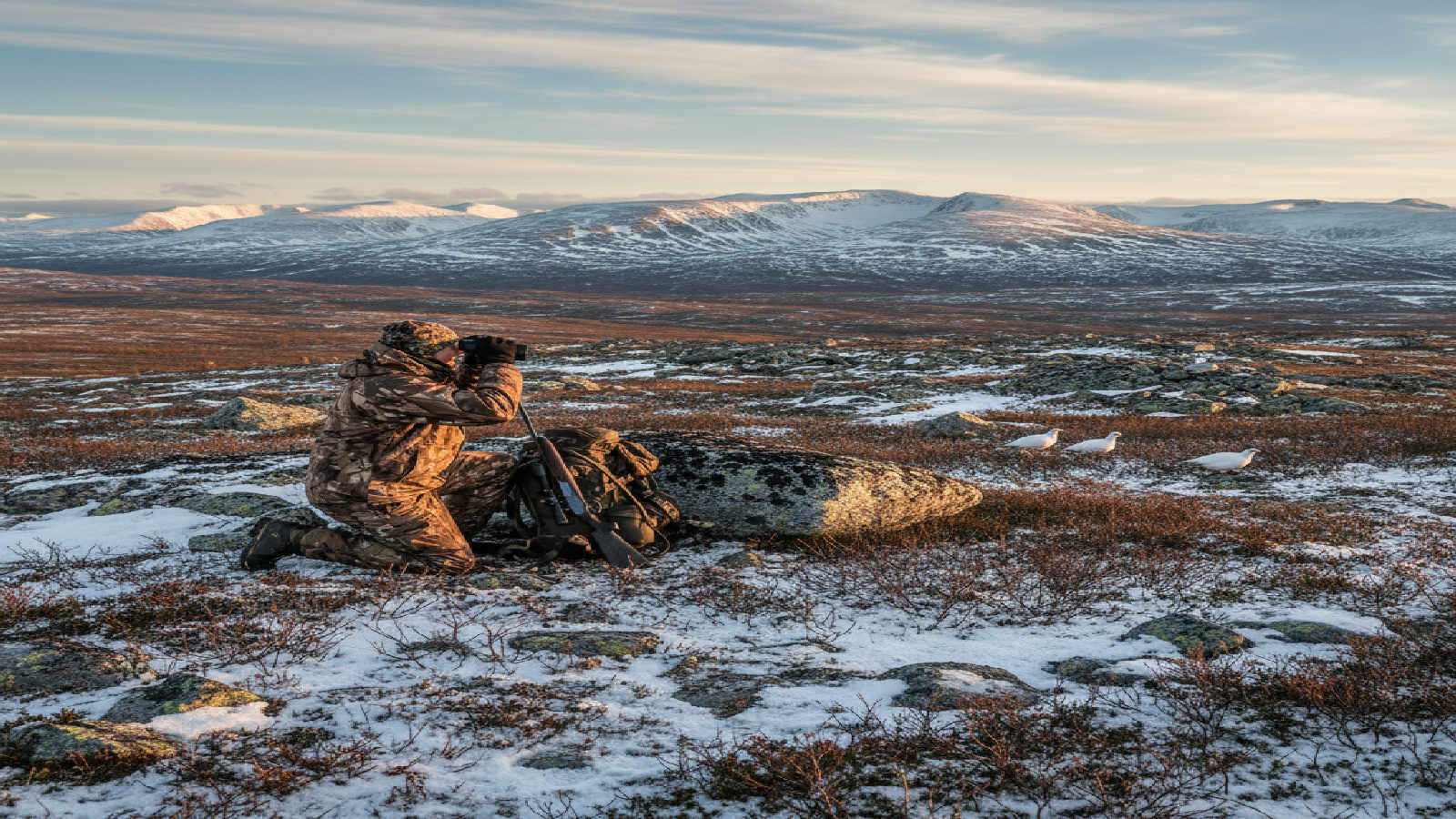 Jakt i fjäll och specialmiljöer