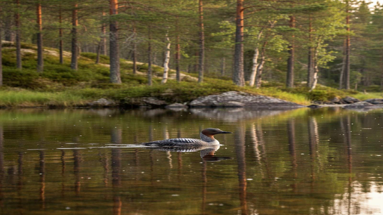 Smålom